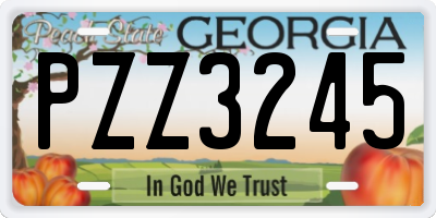 GA license plate PZZ3245