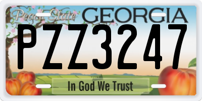GA license plate PZZ3247