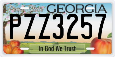 GA license plate PZZ3257
