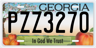 GA license plate PZZ3270