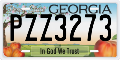GA license plate PZZ3273