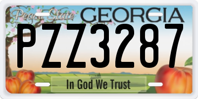 GA license plate PZZ3287