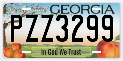GA license plate PZZ3299