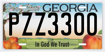 GA license plate PZZ3300