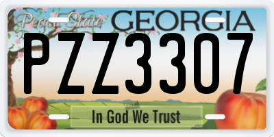 GA license plate PZZ3307