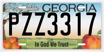 GA license plate PZZ3317