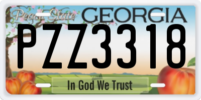 GA license plate PZZ3318