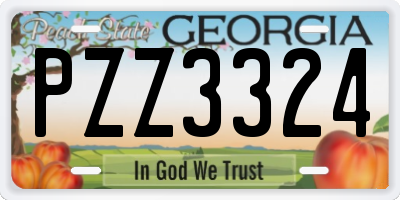 GA license plate PZZ3324