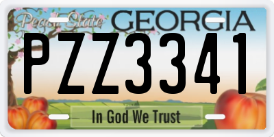GA license plate PZZ3341