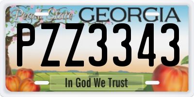 GA license plate PZZ3343