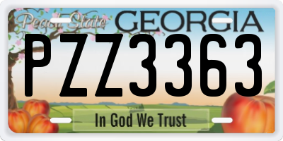 GA license plate PZZ3363