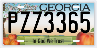 GA license plate PZZ3365