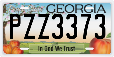 GA license plate PZZ3373