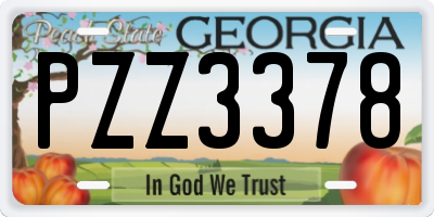 GA license plate PZZ3378