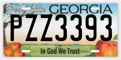 GA license plate PZZ3393