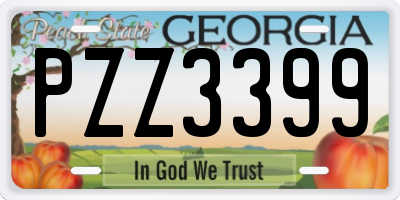 GA license plate PZZ3399