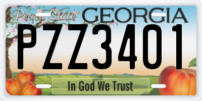 GA license plate PZZ3401