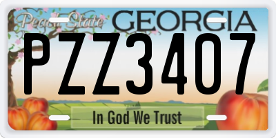 GA license plate PZZ3407