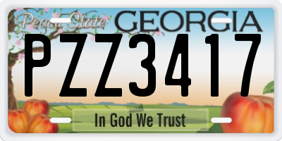GA license plate PZZ3417