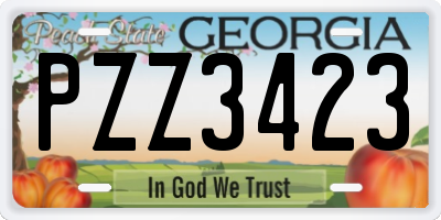 GA license plate PZZ3423
