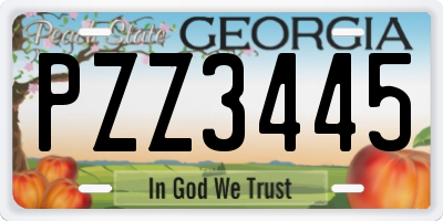 GA license plate PZZ3445