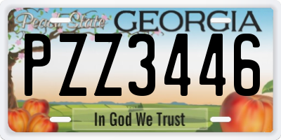 GA license plate PZZ3446