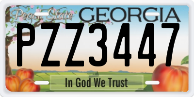 GA license plate PZZ3447