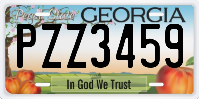 GA license plate PZZ3459