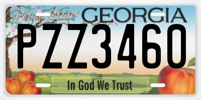 GA license plate PZZ3460