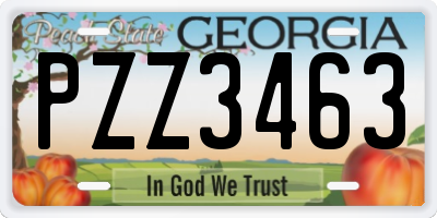 GA license plate PZZ3463