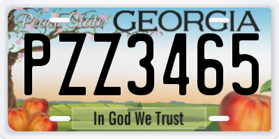 GA license plate PZZ3465