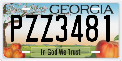 GA license plate PZZ3481
