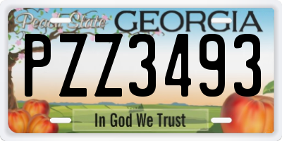 GA license plate PZZ3493