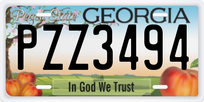 GA license plate PZZ3494