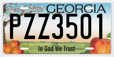 GA license plate PZZ3501