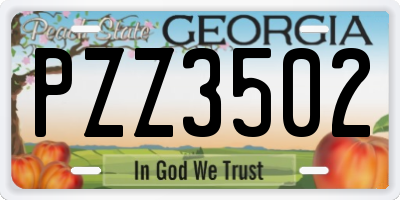 GA license plate PZZ3502