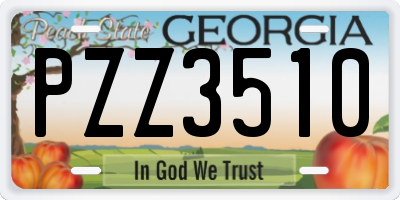 GA license plate PZZ3510