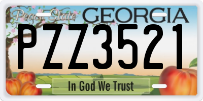 GA license plate PZZ3521