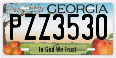 GA license plate PZZ3530