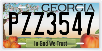 GA license plate PZZ3547