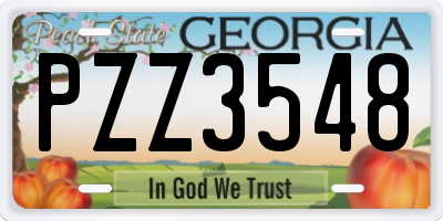 GA license plate PZZ3548