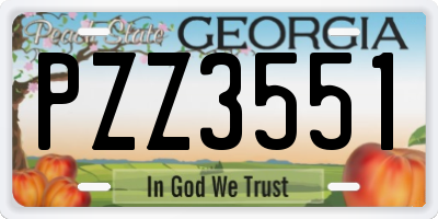 GA license plate PZZ3551