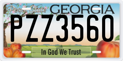 GA license plate PZZ3560