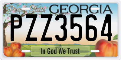 GA license plate PZZ3564