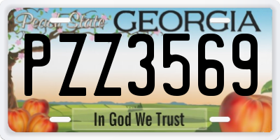 GA license plate PZZ3569