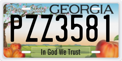 GA license plate PZZ3581