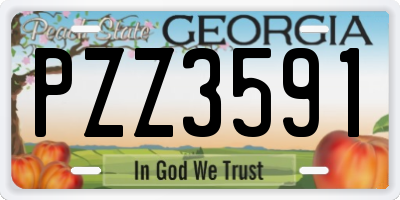 GA license plate PZZ3591