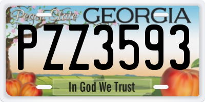 GA license plate PZZ3593