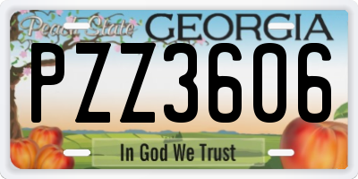 GA license plate PZZ3606