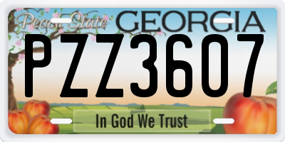 GA license plate PZZ3607